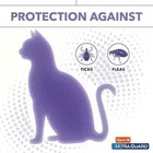 Hartz Ultraguard Flea   Tick Collar For Cats   Kittens 7 Months Protection  1ct