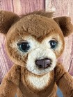 Furreal Cubby The Curious Bear Interactive Animatronic Talking Plush Toy Working