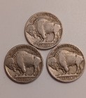 Buffalo  Nickel Lot Of 3 Coins With Readable Dates See Description For More Info