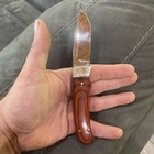 Vintage Utica Adirondack Series 7  Fixed Blade Hunting Knife U s a  Made Nice