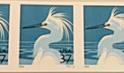 U  S  Scott  3829a Snowy Egret Date 2004 Pnc5 - Plate  p22222 Mnh