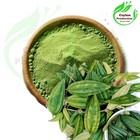 Liver Plant Leaves Capsules 600mg  Dried Organic Osbeckia Octandra Heen Bovitiya