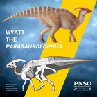 Pnso 44 Parasaurolophus Wyatt Model Hadrosauridae Dinosaur Animal Collection Toy