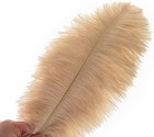 Ballinger Large Champagne Ostrich Feathers - 24pcs 12-14inch Boho Feathers For V