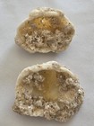 Florida Calcified Clam Fossil Geode Pair Honey Amber Calcite Crystals 2  