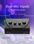 Cerrxian Karaoke Sound Mixer Dual Mic Input With Echo Control
