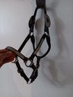 Yearling Silver Show Halter 