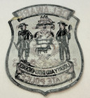 Vintage Delaware State Police Swat Subdued Patch Unused