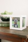 Pet Urns For Dogs Ashes   Dog Urns For Ashes Medium Personalized W  4 Photos    