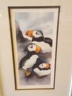 C  Hoskins Limited Edition Framed Puffin Birds Art Print Signed 400 950