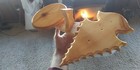 Pine Arrowhead European Deer Skull Mount Plaque Hanger