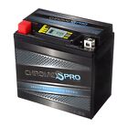 Ytx14-bs Chrome Pro Series High Performance Atv Powersport Igel Battery