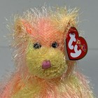 Ty Punkies Rainbow The Bear 9 Inch Plush Stuffed Animal Toy Fuzzy Beanie Babies