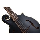 The Loar Hand-carved F-style All Solid Wood Contemporary Mandolin With Black Top