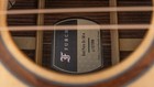 Furch Red Pure Dc-sra Spa Dreadnought Acoustic-electric Guitar  Stagepro Anthem 