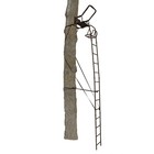 Big Game Warrior Dxt 17  Portable Hunting Outside Tree Stand Ladder  2 Pack 