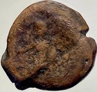Celtic Turduli People 140bc-90bc Coin Ancient Iberian Winged Cupid   Venus Rare