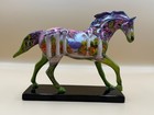Floral Pony -trail Of Painted Ponies
