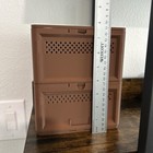 Superworm mealworm Farm- Raise Your Own Reptile Feeders