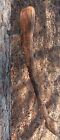 Hand Carved Sioux Style Bladed Gunstock War Club With Hand Forged Blade