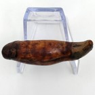 Awesome 3  Inch  7 6cm  Cave Bear Canine Fossil  Ursus Spelaeus  Pleistocene