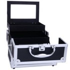 Large Pro Aluminum Makeup Train Case Box Jewelry Cosmetic Organizer With Mirror
