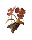 Vintage Mcm Brutalist Flower Sculpture On Drift Wood With Original Tag La