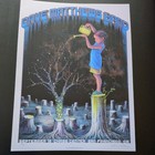 Emek Dave Matthews Band Poster San Francisco 2019 