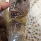 Retro Vintage Lusterware Purple   Gold  Tropical Fish Figurine Statue