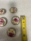 5 Antique Round Buttons Victorian Hand Painted Porcelain Paired Roses