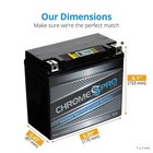 Chrome Pro Battery Ytx20l-bs Igel High Performance Battery For Harley Davidson
