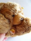 Steiff Bear Teddy Bear  Button Flag Tag Stuffed Animal Germany  98