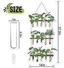 Wall Hanging Propagation Station With Wooden Stand 5 Glass 15 Tube Vases Brown