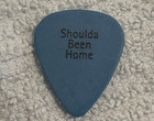 Robert Cray Band Guitar Pick 2001 Should Been Home Tour Robert s Stage Plectrum