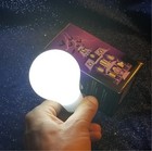 Magic Light Bulb -  Uncle Fester Light Up Bulb - Addams Family  
