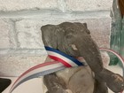          C1890 German Paper Mache  Patriotic Elephant Candy Container Rare Original