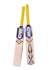 Cricket Bat Warrior English Willow Full Short Handle Free Cover Fast Postage