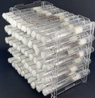 Test Tube Ant Farm For Australian Black Head Bull Queen Myrmecia Nigriceps 9-15w