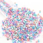 2000pcs 11 0 Mini Glass Seed Beads Diy Bracelet Necklace Jewelry Making Kit