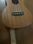Protege By Cordoba U1-m Mahogany Concert Ukulele