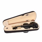 Maple 4 4 Acoustic Violin Case Bow Rosin Strings Tuner Shoulder Rest Black Us