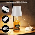 Wireless Bottle Lamp Wine Bottle Lights W  3 Color Temperature Rechargeable Akd