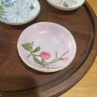 Vtg Handpainted Porcelain Butter Pats Set Of 6 Nature Birds Floral Spider Web