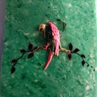 Vintage Antique Auction Bridge Celluloid Score Book Green With Parrot Cover