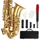 New Practice Beginner Eb Alto Sax Saxophone School Paint With Case   Accessories
