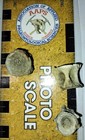Set Of Three Pleistocene Fish Vertebrae From Peace River Near Arcadia  Florida