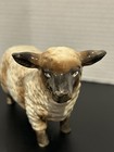 Vtg Porcelain Suffolk Sheep Figurine Made In Japan Home Decor