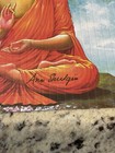 Blotter Art Original Mediation Signed Sheet By Ann Shulgin Mother Of Mdma   Coa