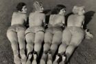 Vintage Bettie Page Photo 3986 Oddleys Strange   Bizarre