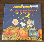 It s The Great Pumpkin Charlie Brown Laserdisc Rare Very Good